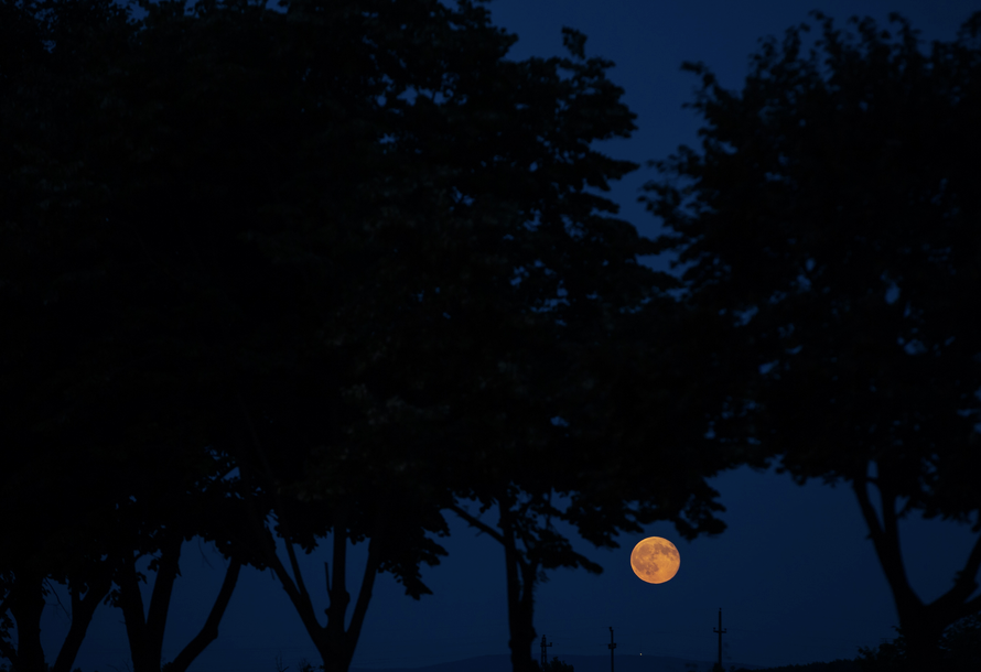 A minute past midnight and I'm SHAKING